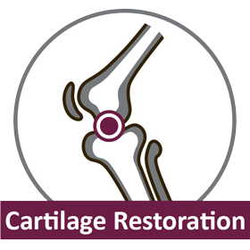 Knee Cartilage Injury/Defect